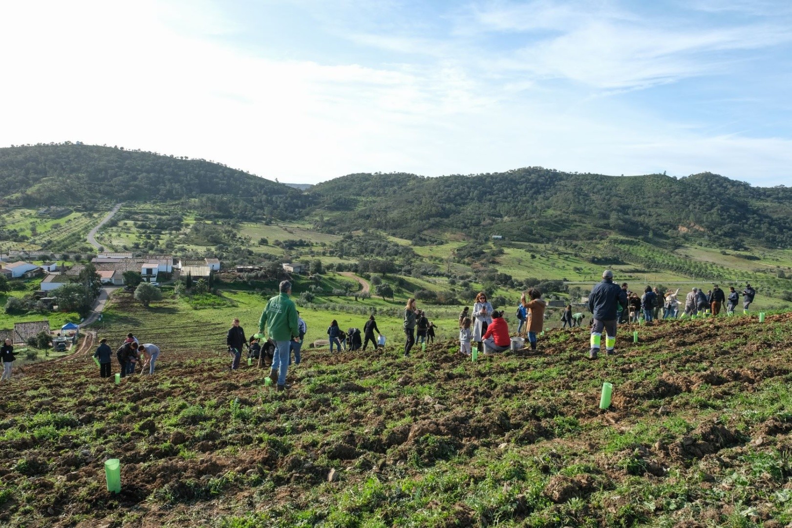 Ação de Reflorestação de autóctones no território Algarvensis, vai minimizar pegada ecológica de viagens de avião